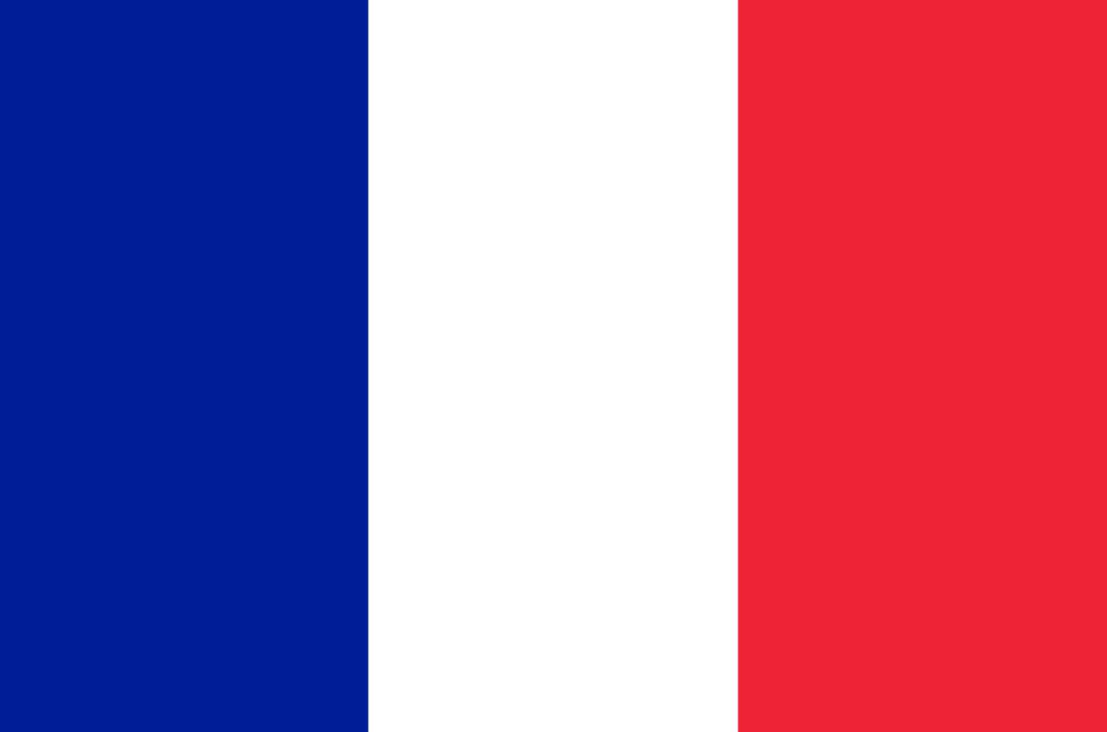 フランス語勉強方法